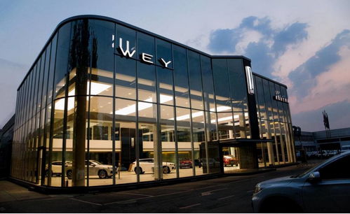 格局的力量 比亚迪无偿转让“魏”商标，长城魏建军深情感动